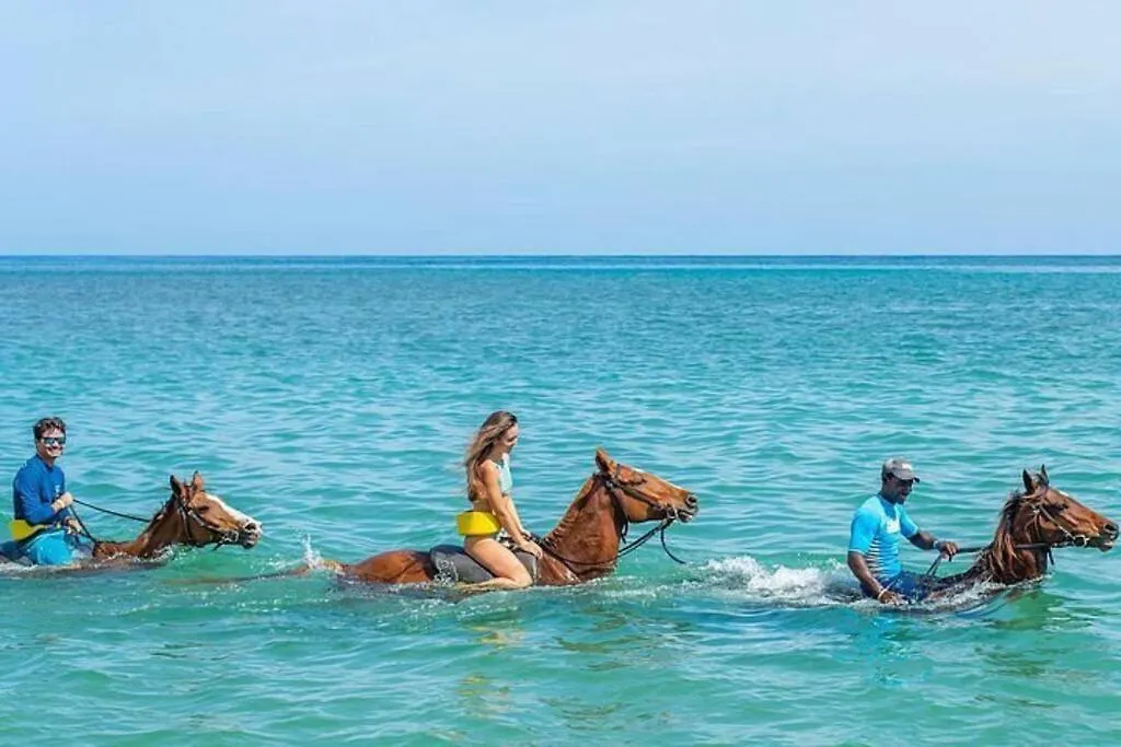 Ocean View Get Away Villa Falmouth Jamaica